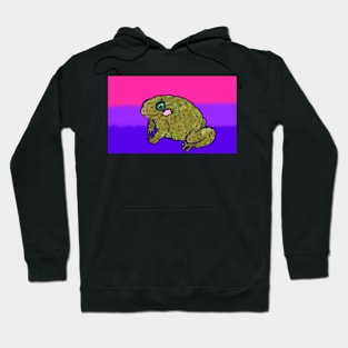 Bisexual Toad Flag Hoodie